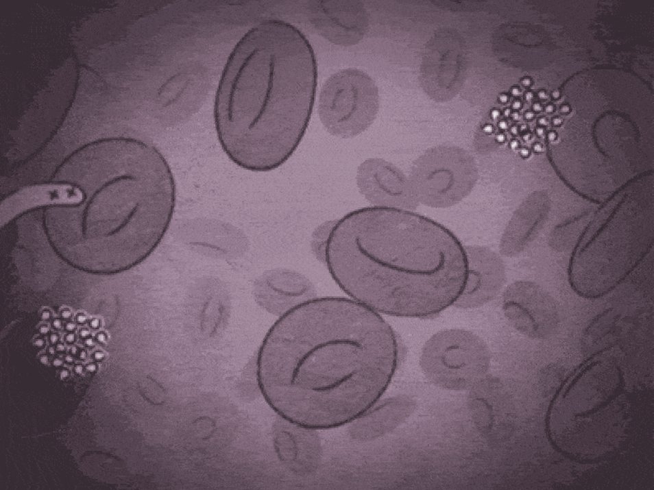 Blood Cell Classification using Deep Learning on Cainvas Platform