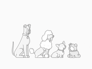 Dog Breed Classification using Deep Learning
