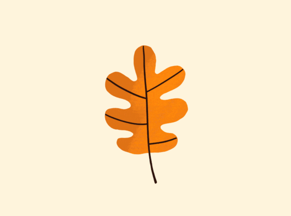 Grape Leaves Disease Detection