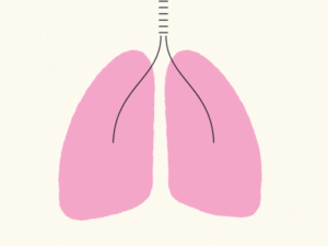 Lung Cancer Detection using Convolutional Neural Network on the Cainvas Platform