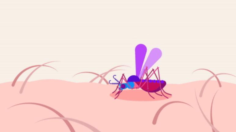 Malaria Parasite Detection using a Convolutional Neural Network on the Cainvas Platform