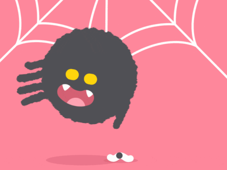 Spider Breed Classification with Cainvas