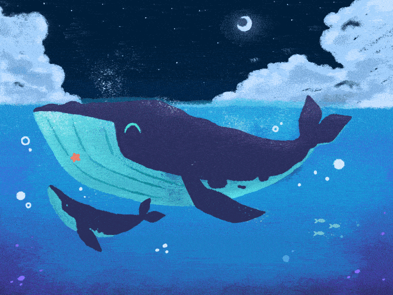 Whale Detection Using Aerial Images